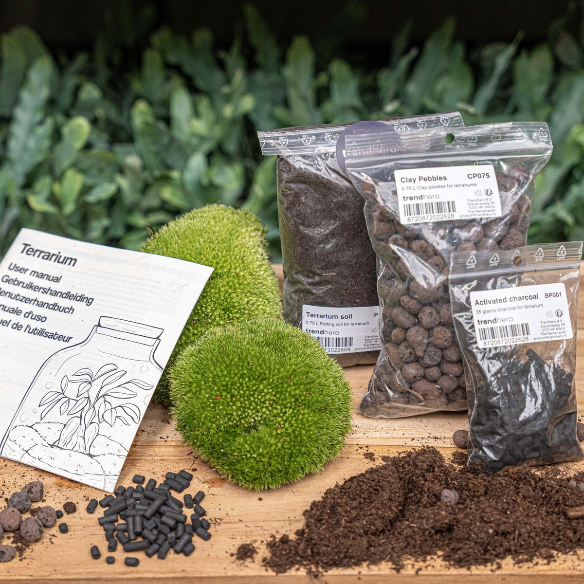 Everspring Pflanzenterrarium Nachfüllset, DIY Starterset in Größe S/M, kleines Standard-Terrarium für Pflanzen und Mini-Gärten