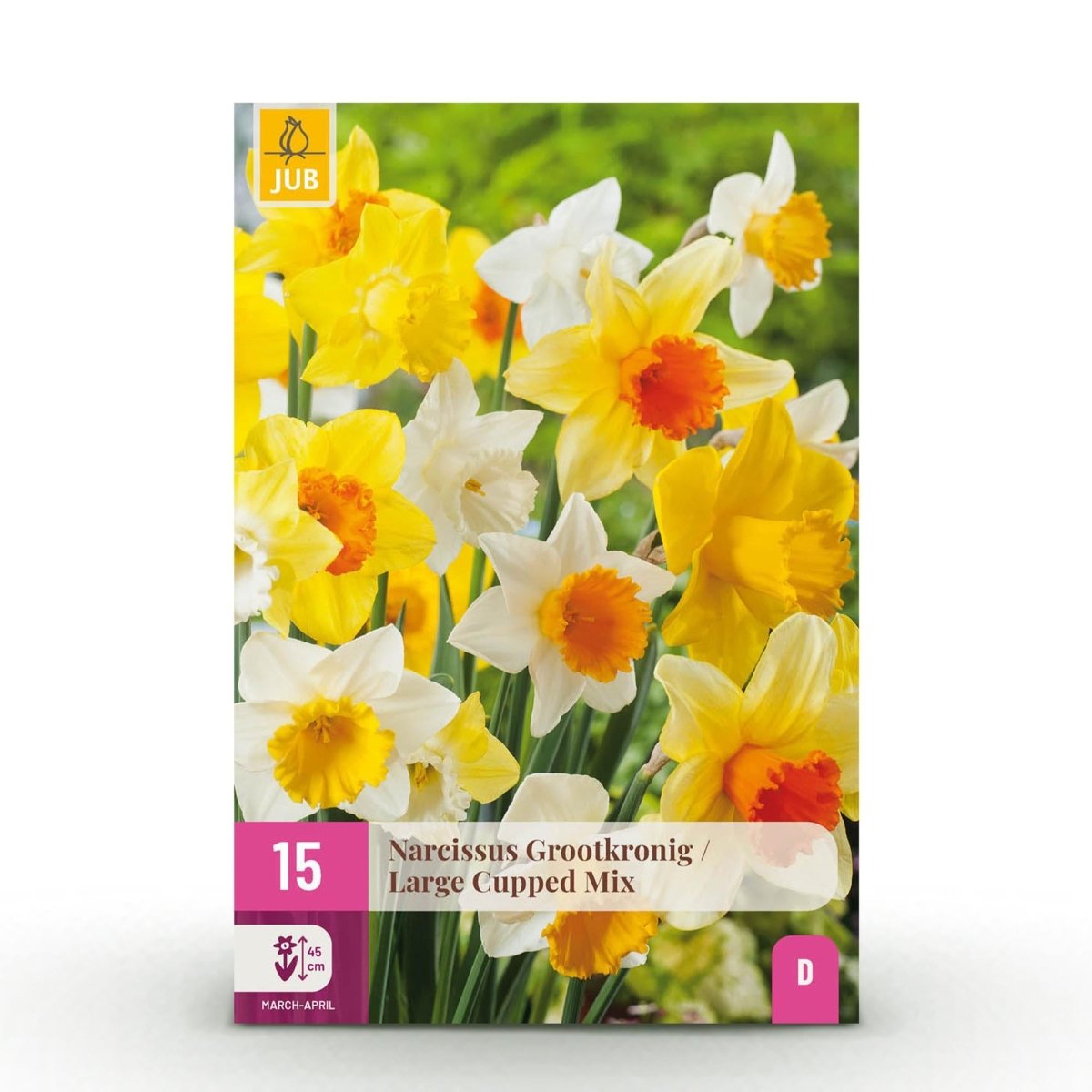 Blumenzwiebeln Narzisse Large Cupped Mix | 15 Stück Gelb &amp; Weiß – Zwiebelgröße 12/14 – XXL Pack - Wurzelwerk Design