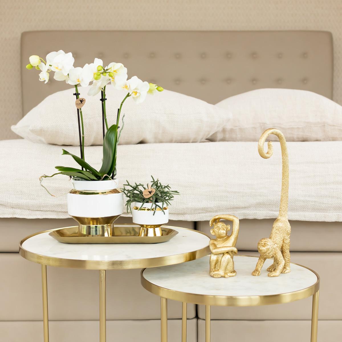 Deko - Skulptur Sitzender Affe - Gold - Wurzelwerk Design