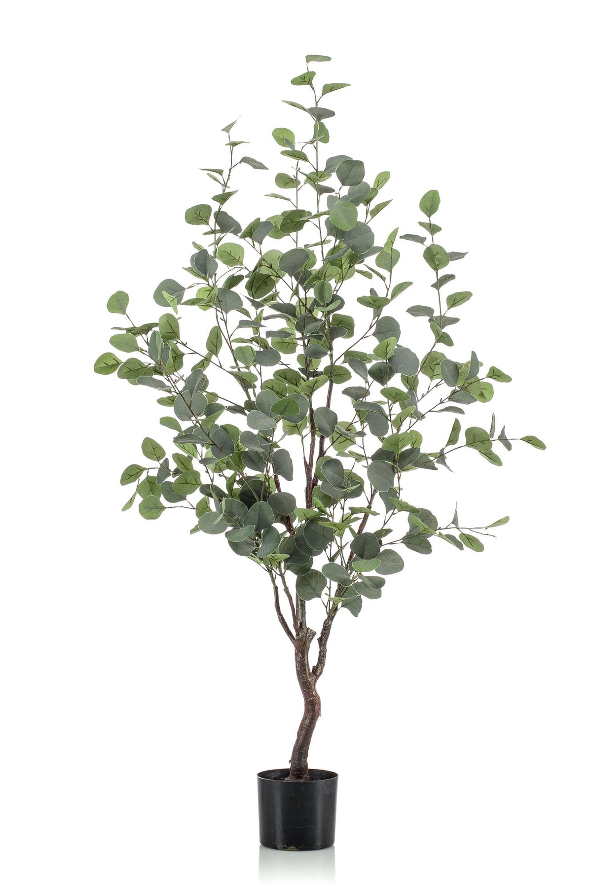 Kunstpflanze Eucalyptusbaum, blauer Gummibaum, Everspring, in 120cm oder 180cm Höhe, detailreiche künstliche Pflanze, realistisch aussehend