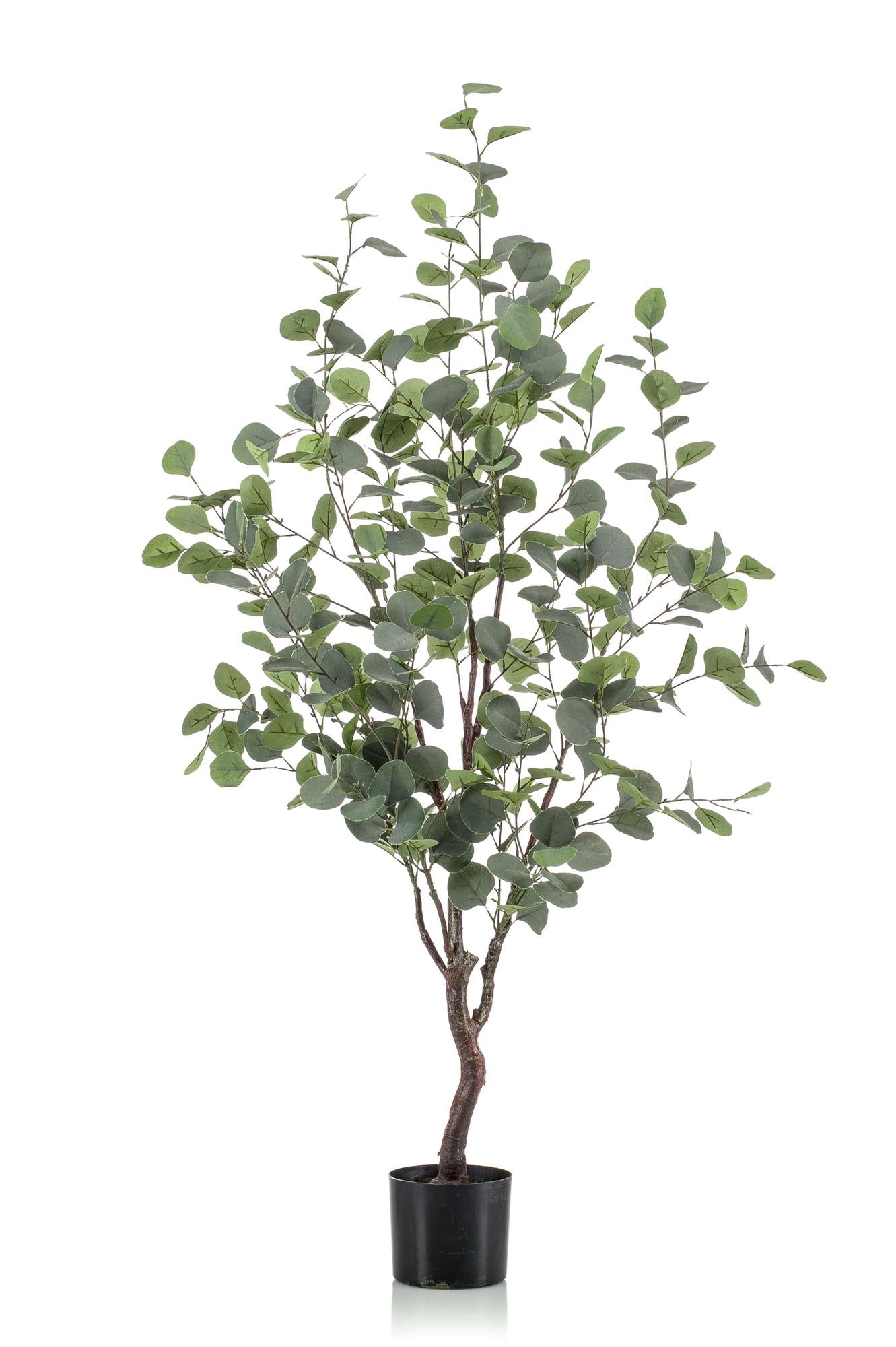 Kunstpflanze Eucalyptusbaum, blauer Gummibaum, Everspring, in 120cm oder 180cm Höhe, detailreiche künstliche Pflanze, realistisch aussehend