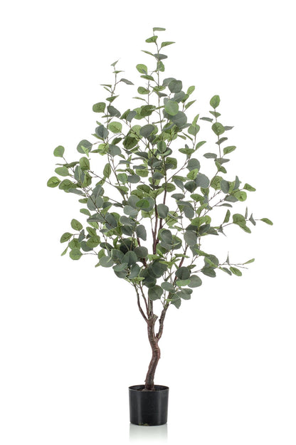 Kunstpflanze Eucalyptusbaum, blauer Gummibaum, Everspring, in 120cm oder 180cm Höhe, detailreiche künstliche Pflanze, realistisch aussehend