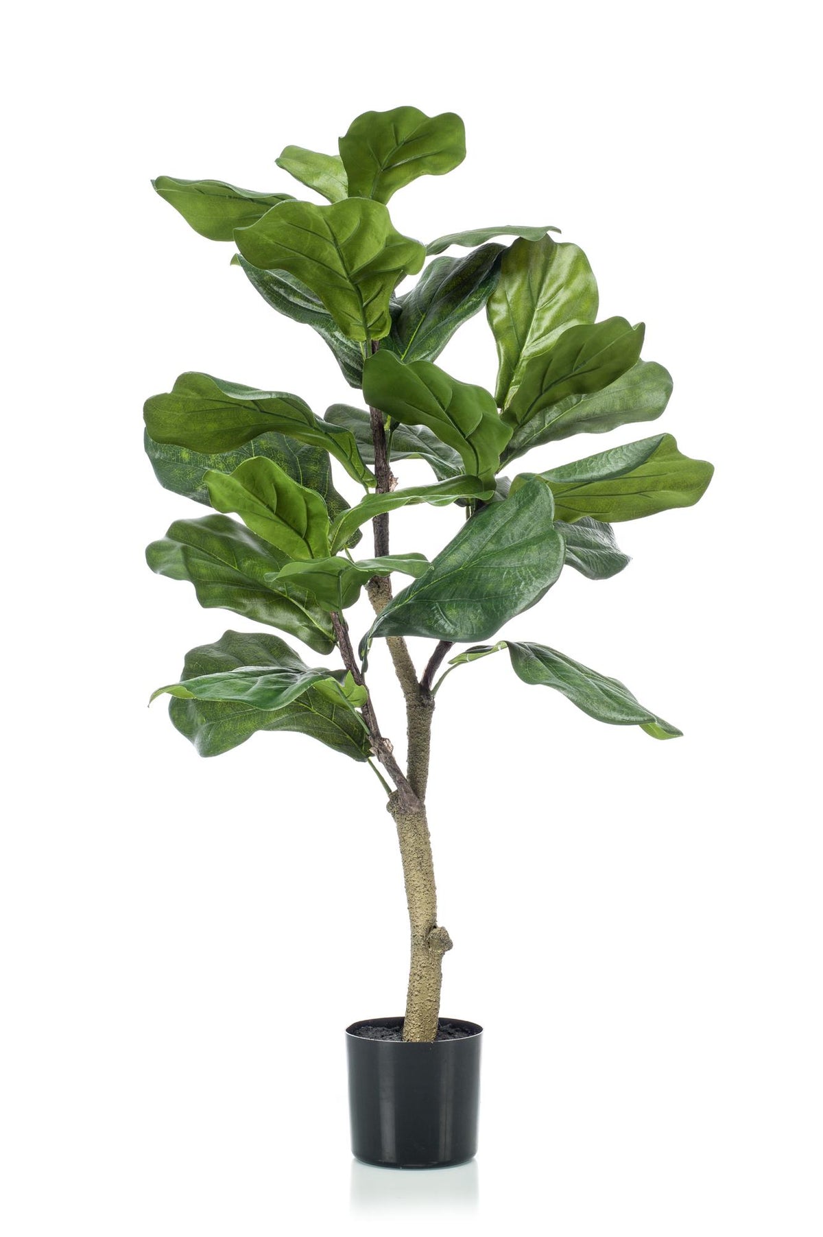 Kunstpflanze Ficus Lyrata, Everspring, 90-180 cm hohe Tabakspflanze mit großen, grünen Blättern, realistische Dekorationspflanze