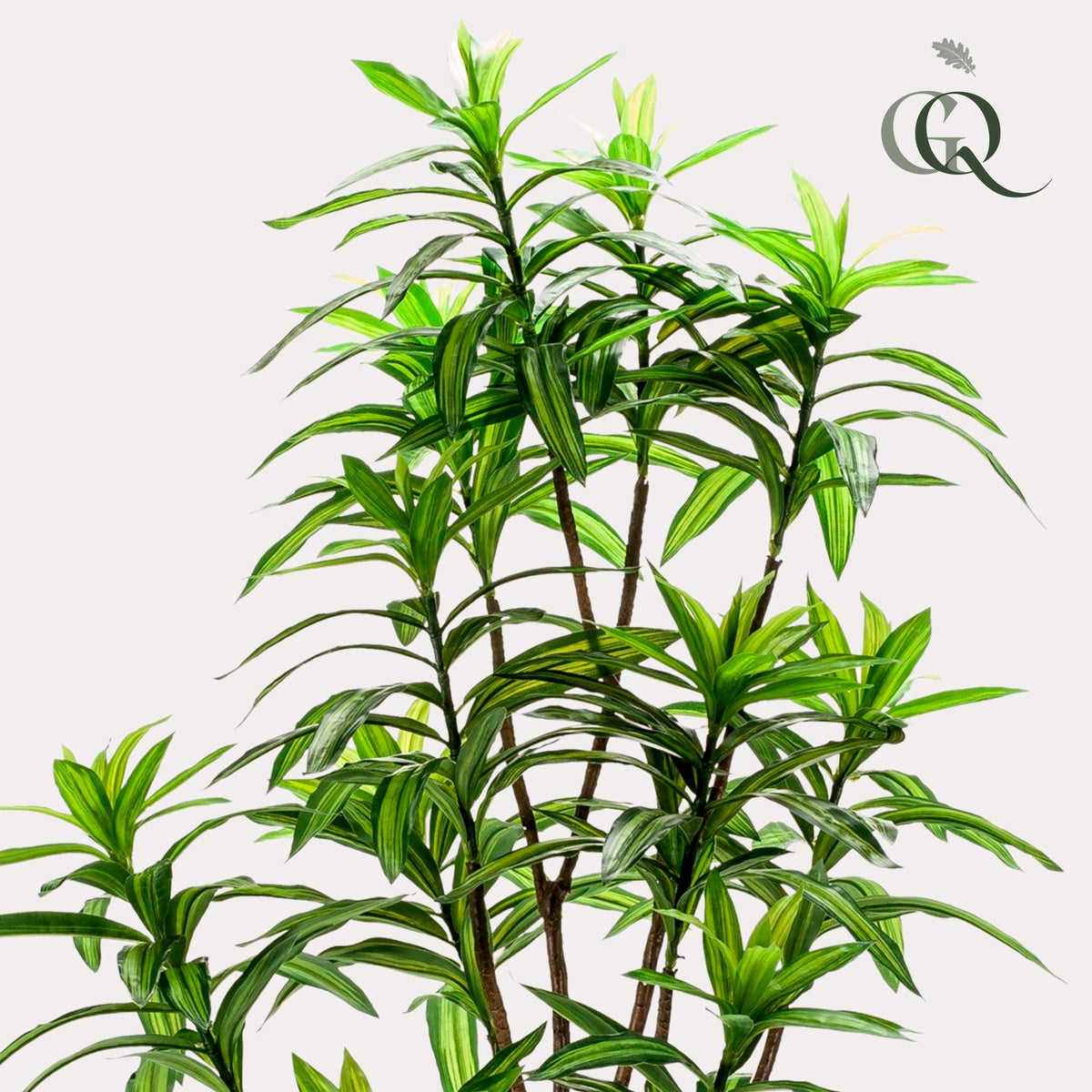 Kunstpflanze Drachenbaum von Everspring, 130, 155 oder 190 cm hoch, realistische grüne Dracaena, dekorative Zimmerpflanze