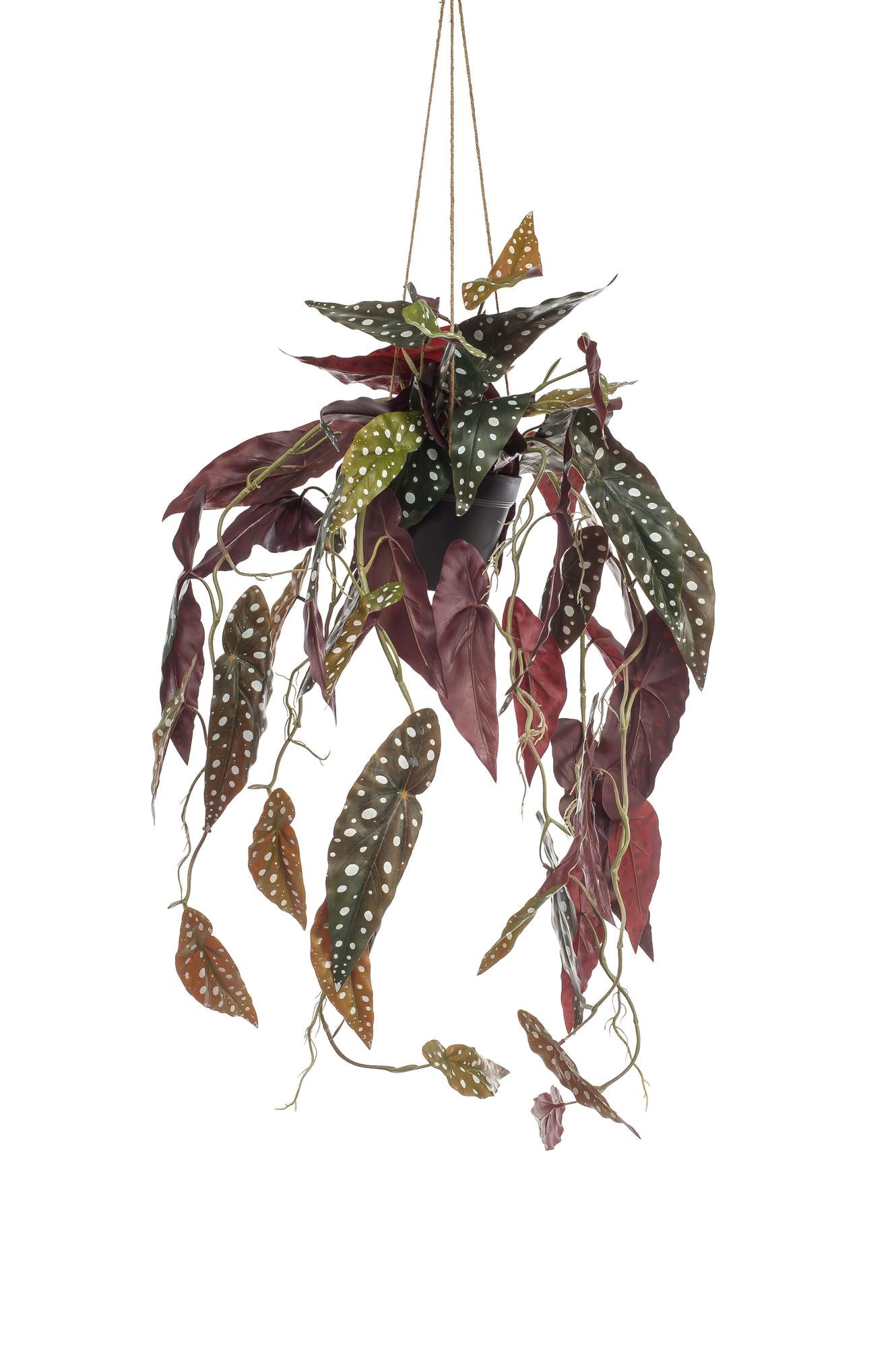 Kunstpflanze Begonia Maculata von Everspring, 80 cm hohe Forellenbegonie mit grünen Blättern und weißen Flecken.
