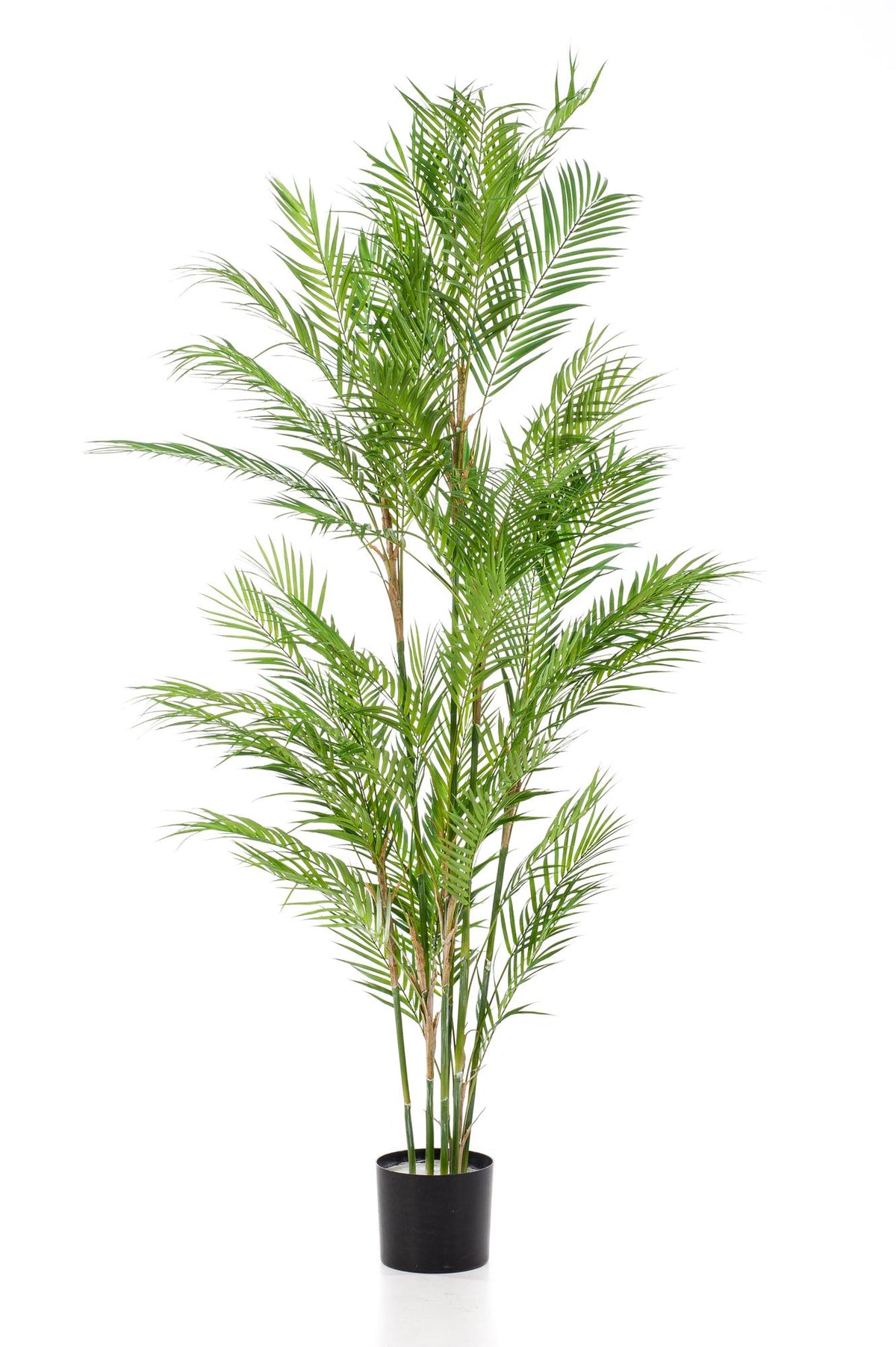 Kunstpflanze Chamaedorea Elegans, Bergpalme, 180 cm, Everspring, realistische grüne Pflanze für Dekorationszwecke