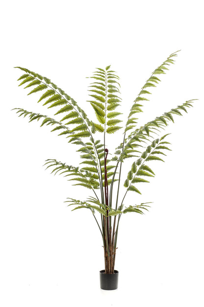 Kunstpflanze Rumohra Adiantiformis Lederfarn, 180 cm, Everspring, detailreiche grüne Kunststoffpflanze als Dekoration