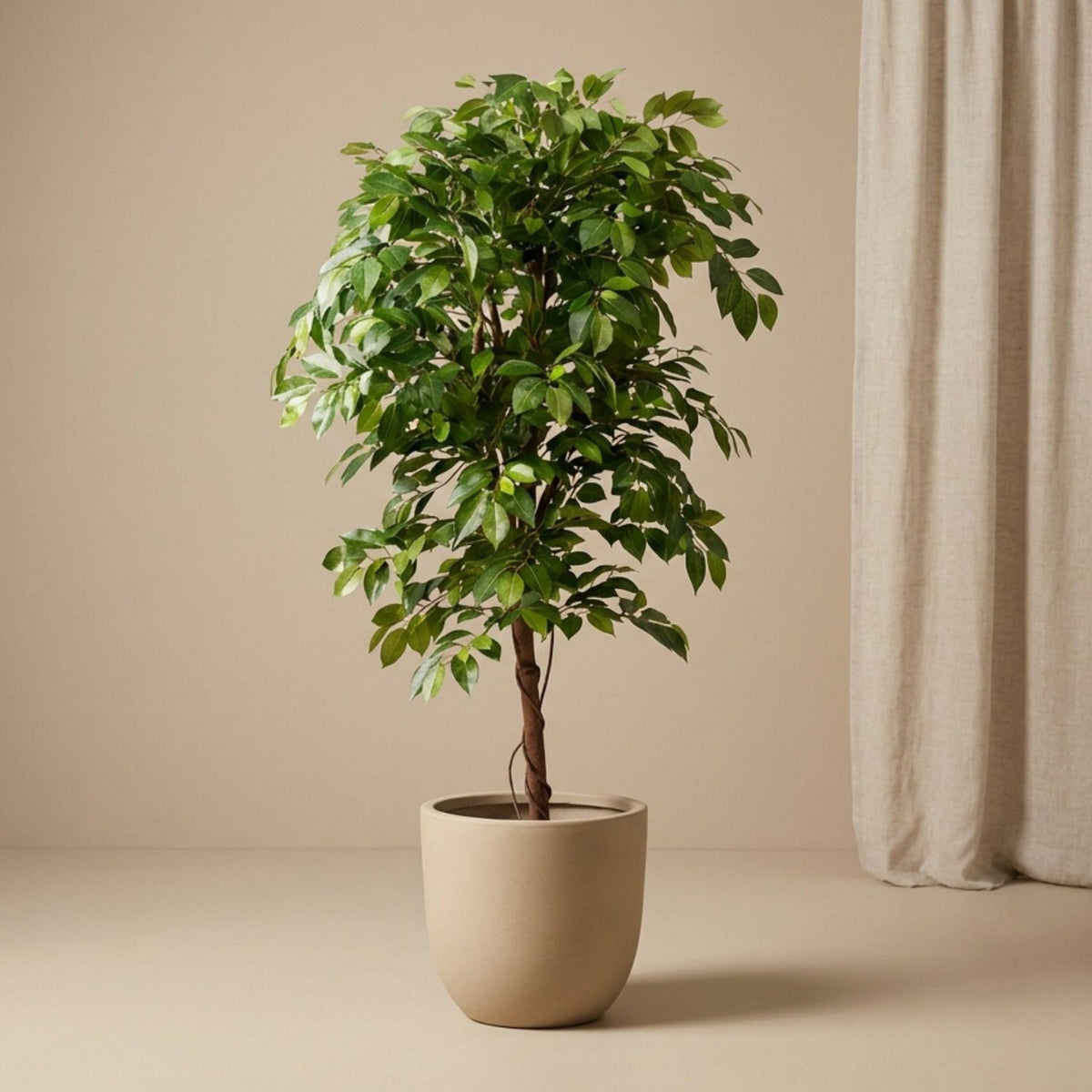 Künstlicher Ficus Deluxe Weinrebenbaum, 140 cm hoch, Everspring, realistische Zimmerpflanze mit grünen Blättern