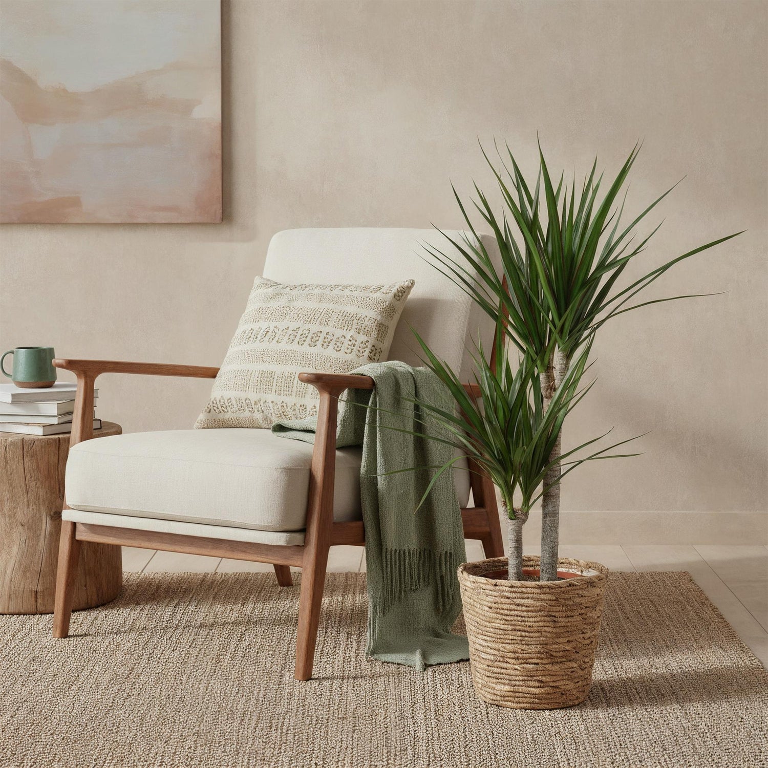 Everspring Dracaena Marginata im Korb, Höhe 90-100cm, grüne Zimmerpflanze mit schmalen Blättern und rotem Drachenblut-Charakter