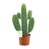 Everspring Opuntia Rubescens Consolea Sukkulente, Pflanzenbild, grüne, rosafarbene Kakteenspitzen, Durchmesser 12cm, Höhe 35cm