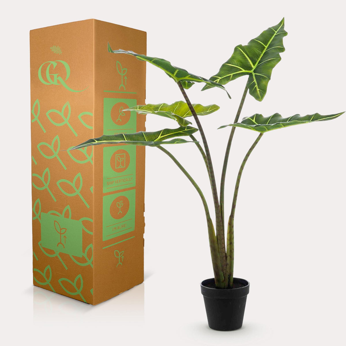 Kunstpflanze Alocasia Frydek von Everspring, 80cm oder 120cm, detailreiche, grüne künstliche Pflanze für Dekor.