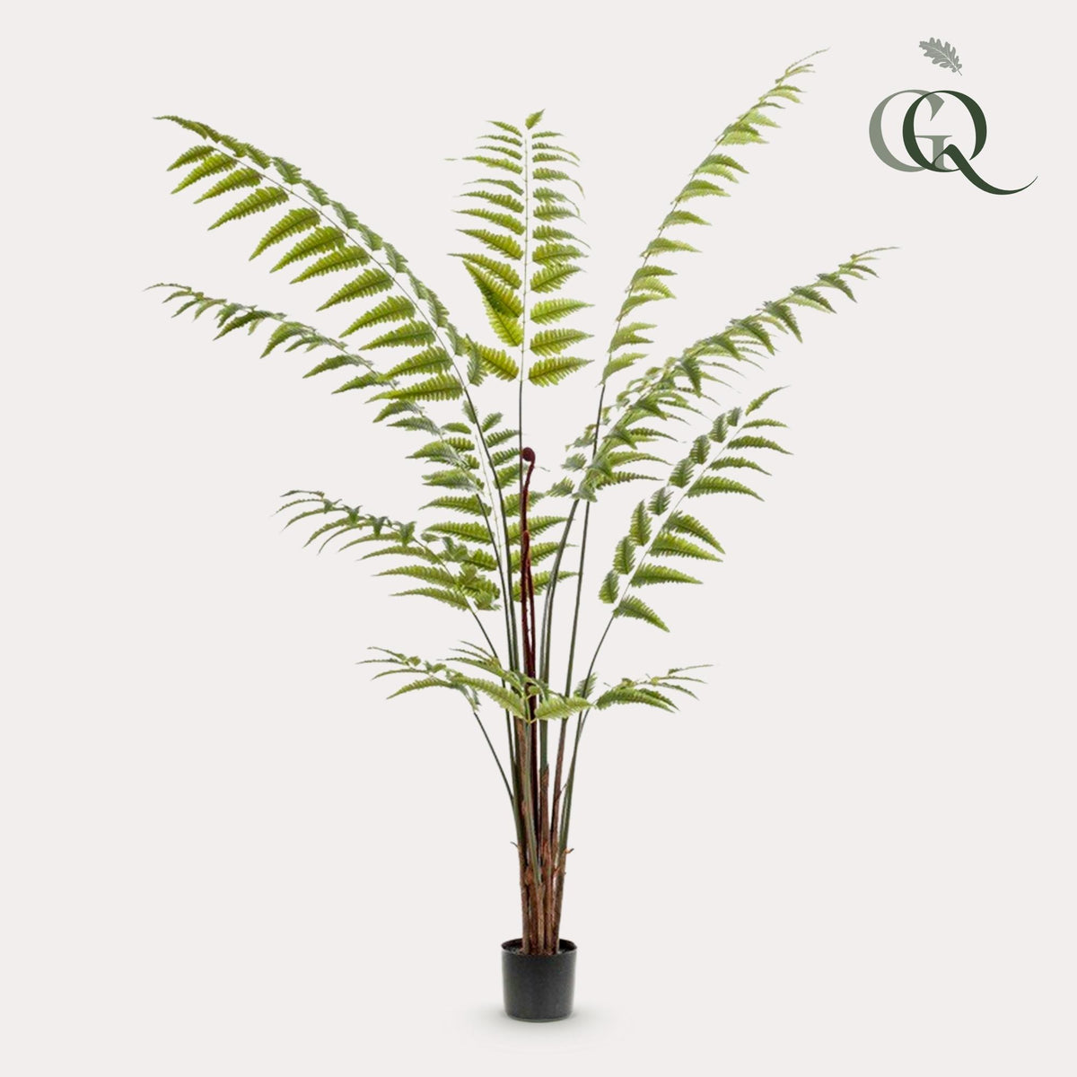 Kunstpflanze Lederfarn Rumohra Adiantiformis, 180 cm, Everspring, realistische grüne Pflanzen für Dekoration