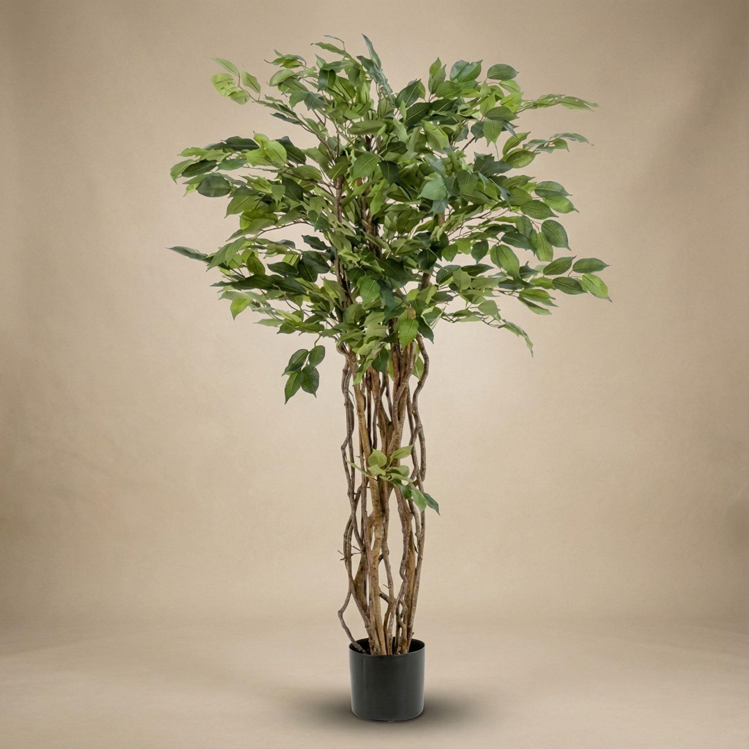 Künstlicher Ficus Liana Baum, 140cm, Everspring, mit grünen Blättern, realistische Pflanzen-Dekoration für Innenräume