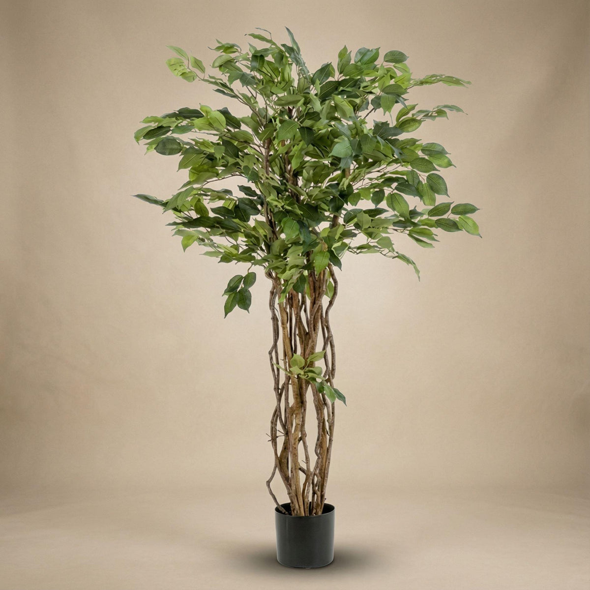 Künstlicher Ficus Liana Baum, 140cm, Everspring, mit grünen Blättern, realistische Pflanzen-Dekoration für Innenräume
