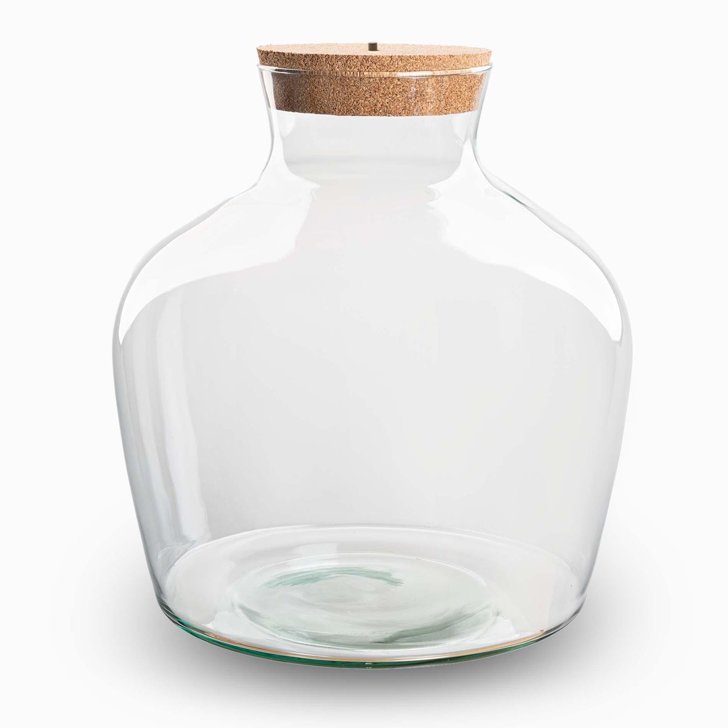 Everspring Terrariumflasche mit Beleuchtung, Fat Joe, Ø 29 cm, 30 cm hoch, transparente Glasflasche mit integrierter Beleuchtung
