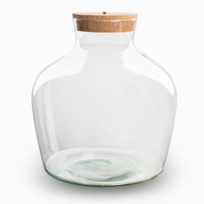 Everspring Terrariumflasche mit Beleuchtung, Fat Joe, Ø 29 cm, 30 cm hoch, transparente Glasflasche mit integrierter Beleuchtung