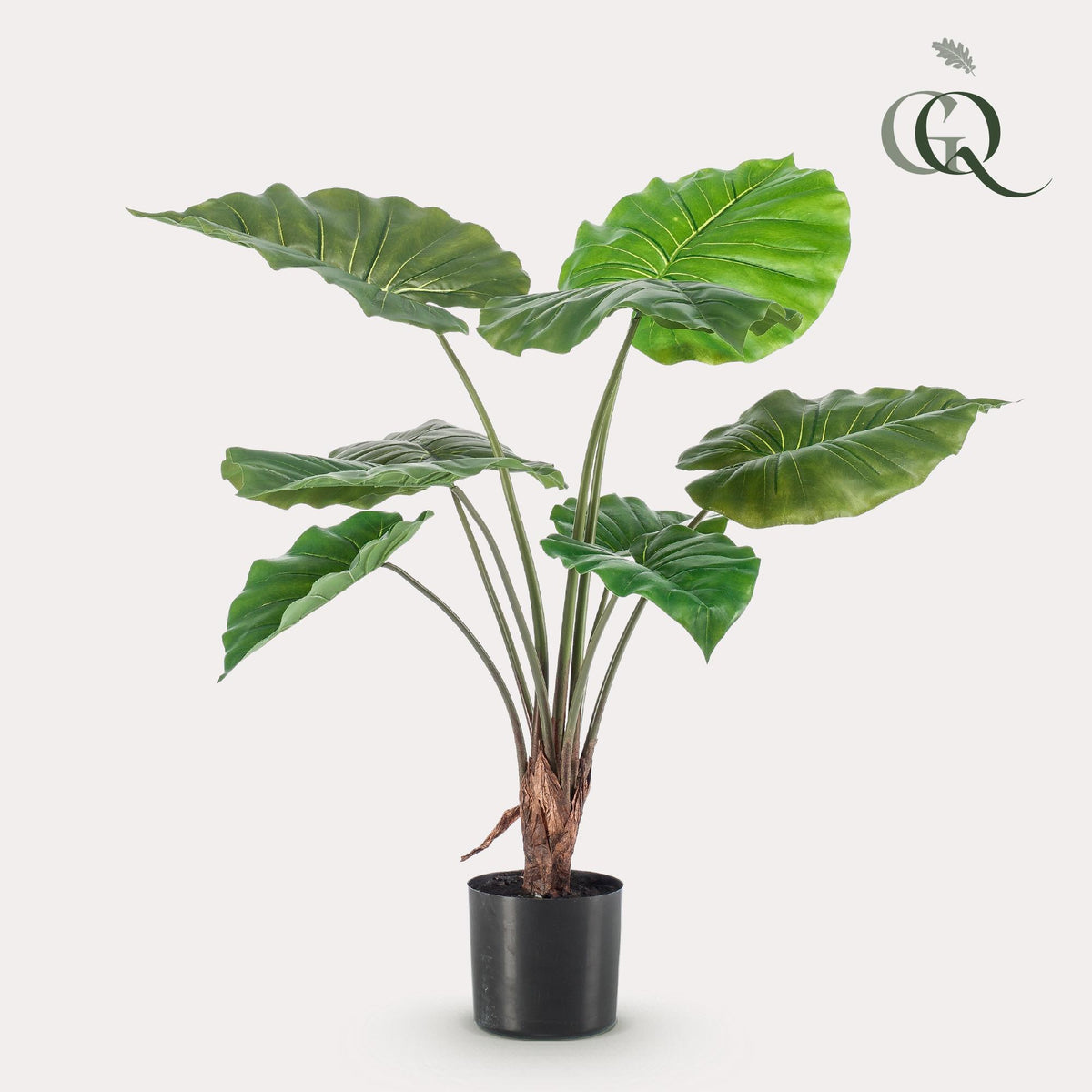 Kunstpflanze Alocasia (Elefantenohr) von Everspring, 70 bis 180 cm hoch, detailreiche grüne Blätter, realistische künstliche Pflanze