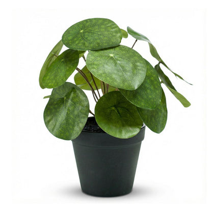 Künstliche Pilea Pflanze, 25 cm hoch, in schwarzem Topf, Everspring, detailreiche Nachbildung für Dekorationszwecke
