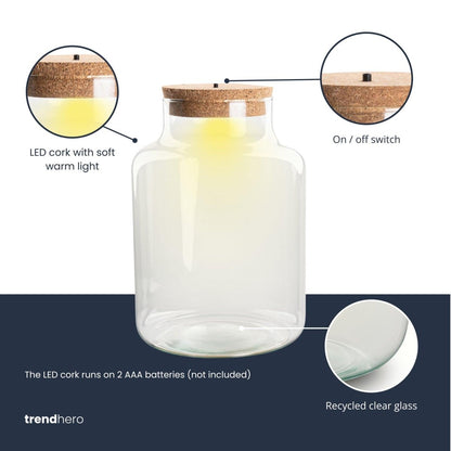 Kleine milchige Terrarienflasche mit Korken - Geschlossenes großes Terrarium ↑ 24,5 cm - Wurzelwerk Design