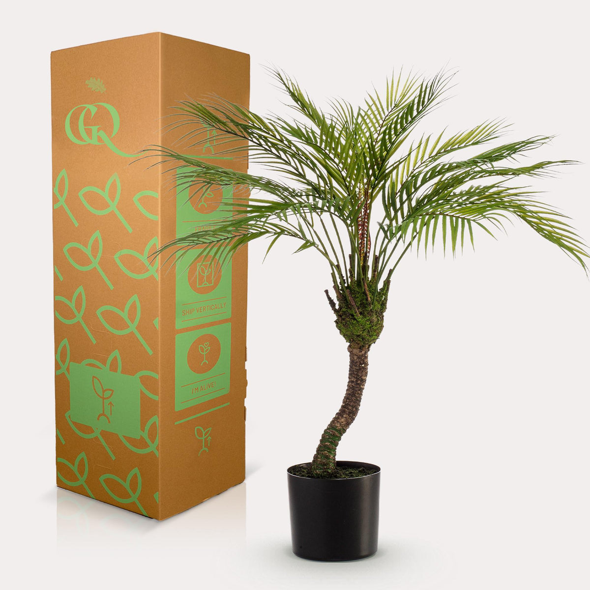 Kunstpflanze Chamaedorea Elegans, Bergpalme, 85 cm, Everspring, detailreiche, lebensechte Kunstpflanze in Top-Ansicht