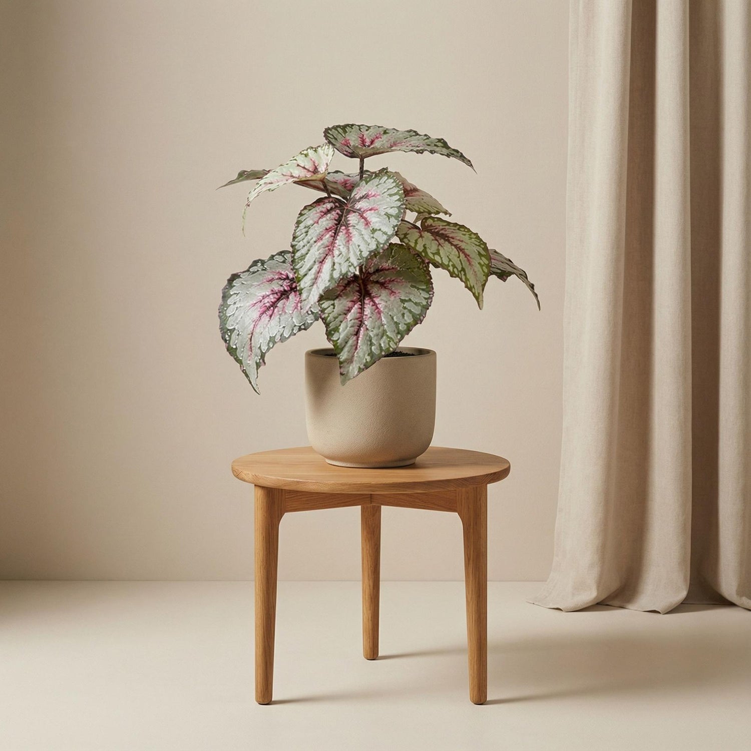 Künstliche Begonie 26 cm im Topf von Everspring, UV-beständig, für Indoor und Outdoor, detailreiche Nachbildung der echten Pflanze