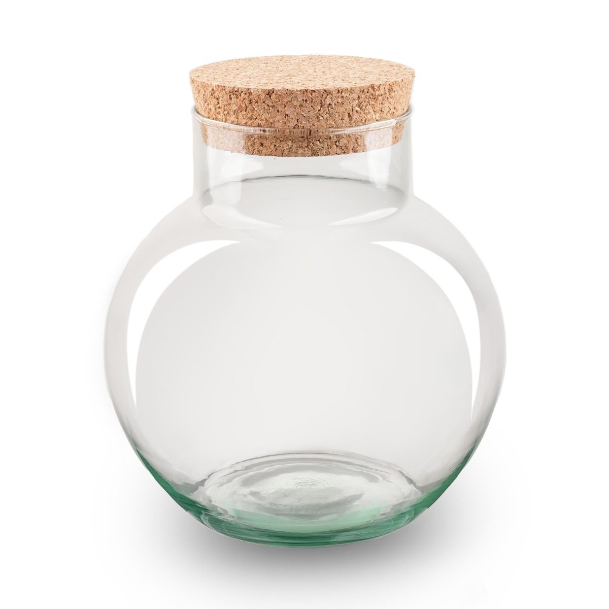 Terrarienflasche „Noah“ mit Korken – Glas - Terrarium 20 cm hoch - Wurzelwerk Design