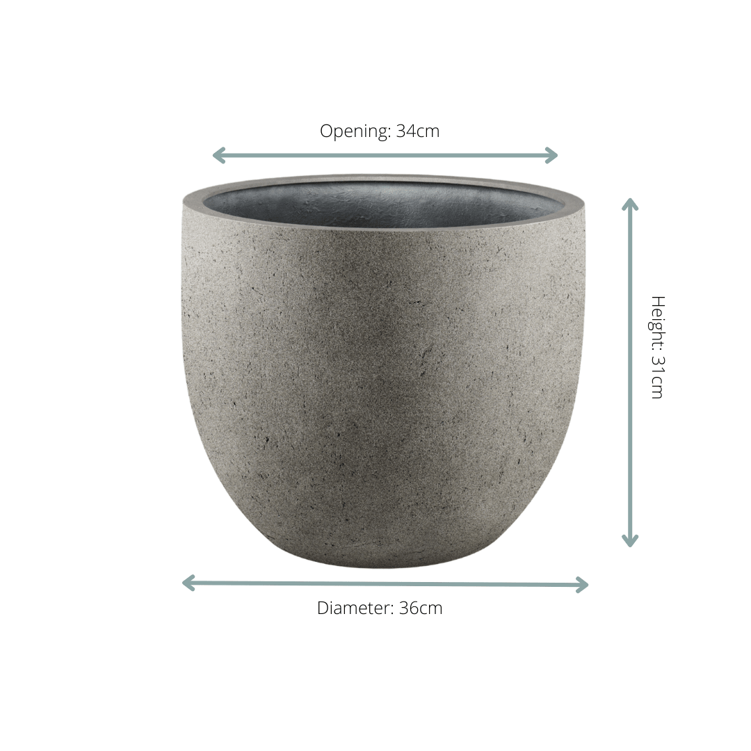 Topf Grigio New Egg Natural Concrete - D36 x H31 - Wurzelwerk Design