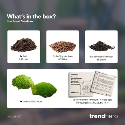 Pflanzenterrarium – Nachfüllset – Starterset – DIY – Größe S/M