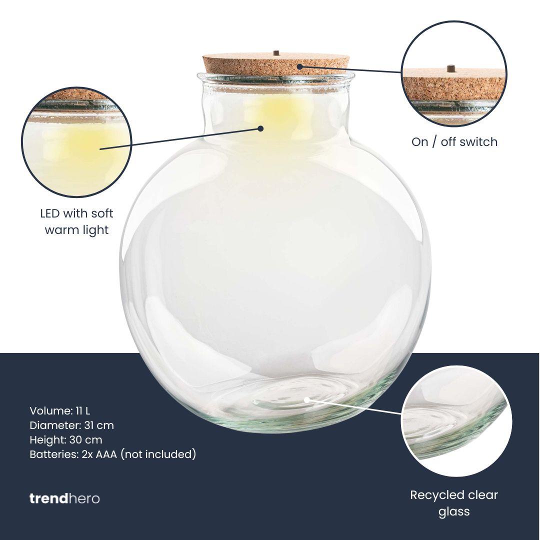 Terrariumflasche mit Korken „Bolder Bob“ – Ø 30 cm – Höhe 31 cm (ohne LED-Korken)