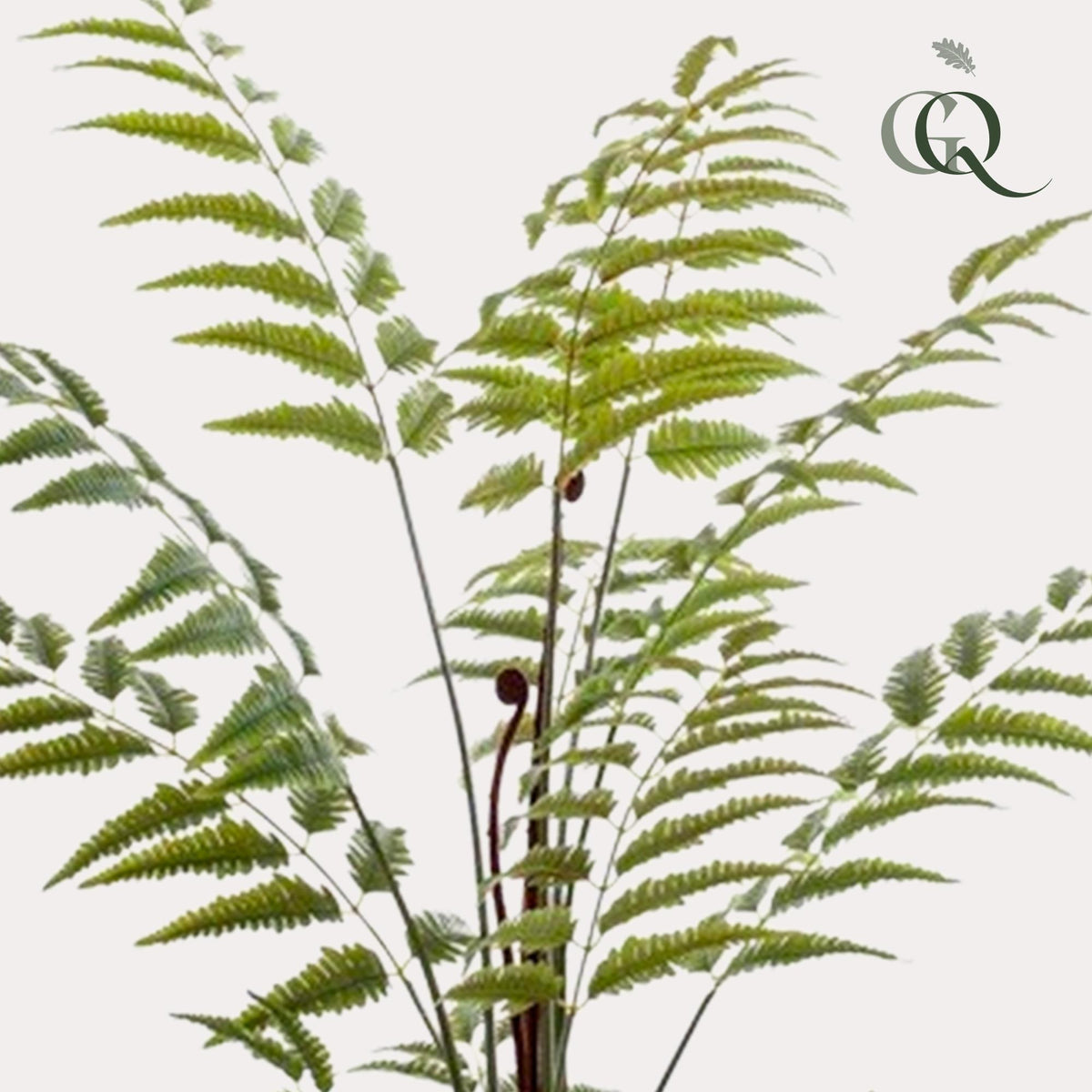 Everspring Kunstpflanze Rumohra Adiantiformis Lederfarn, 150 cm hohe grüne künstliche Pflanze, natürliche Optik, dekorativ für Zuhause