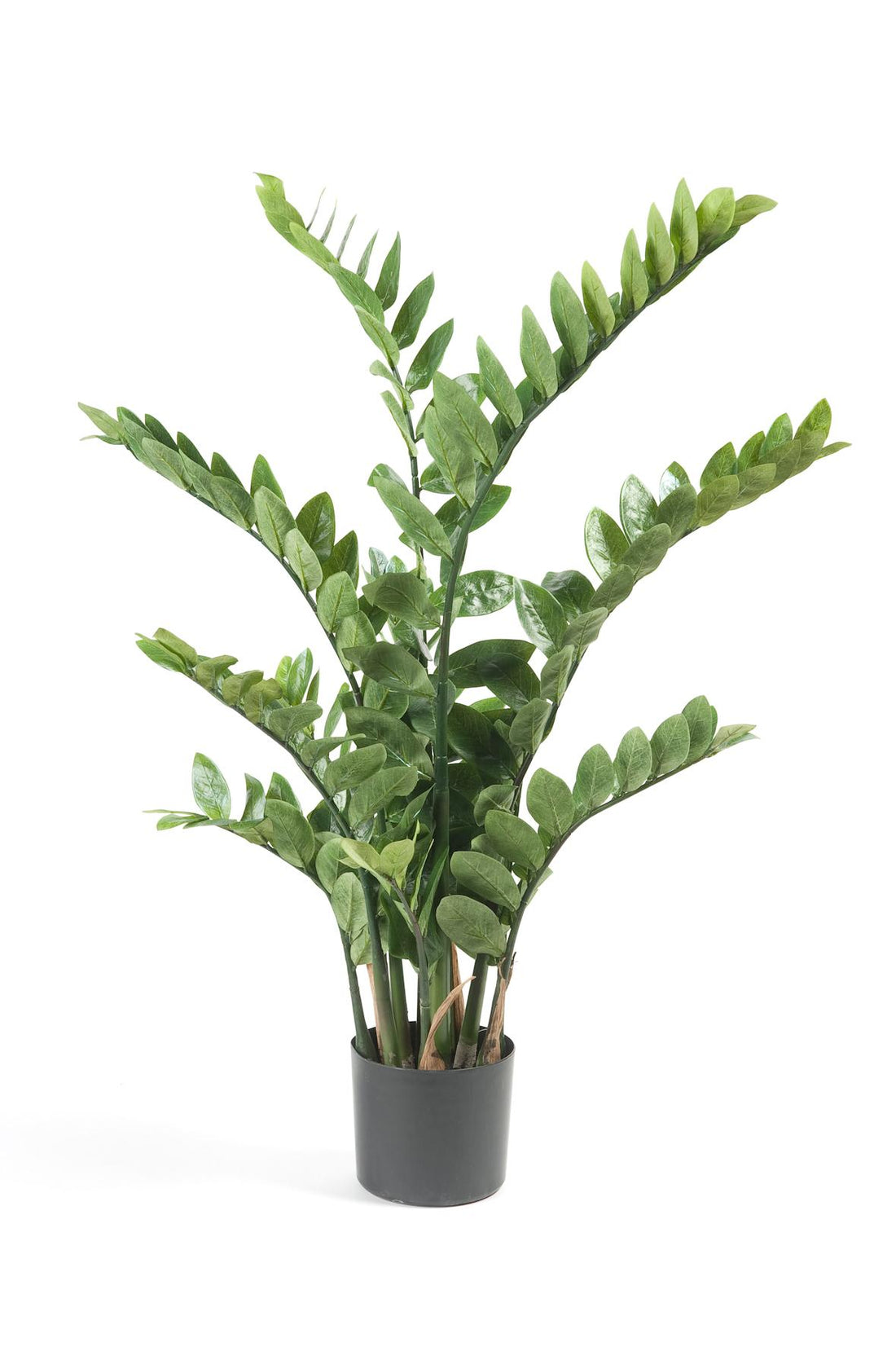Kunstpflanze Zamioculcas, ca. 110 cm hohe Zimmerpalme im Topf als pflegeleichte Grünpflanze