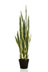 Kunstpflanze Sansevieria trifasciata (Frauenzunge) 97 cm von Everspring, detailreiche grüne Zimmerpflanze als Deko-Objekt