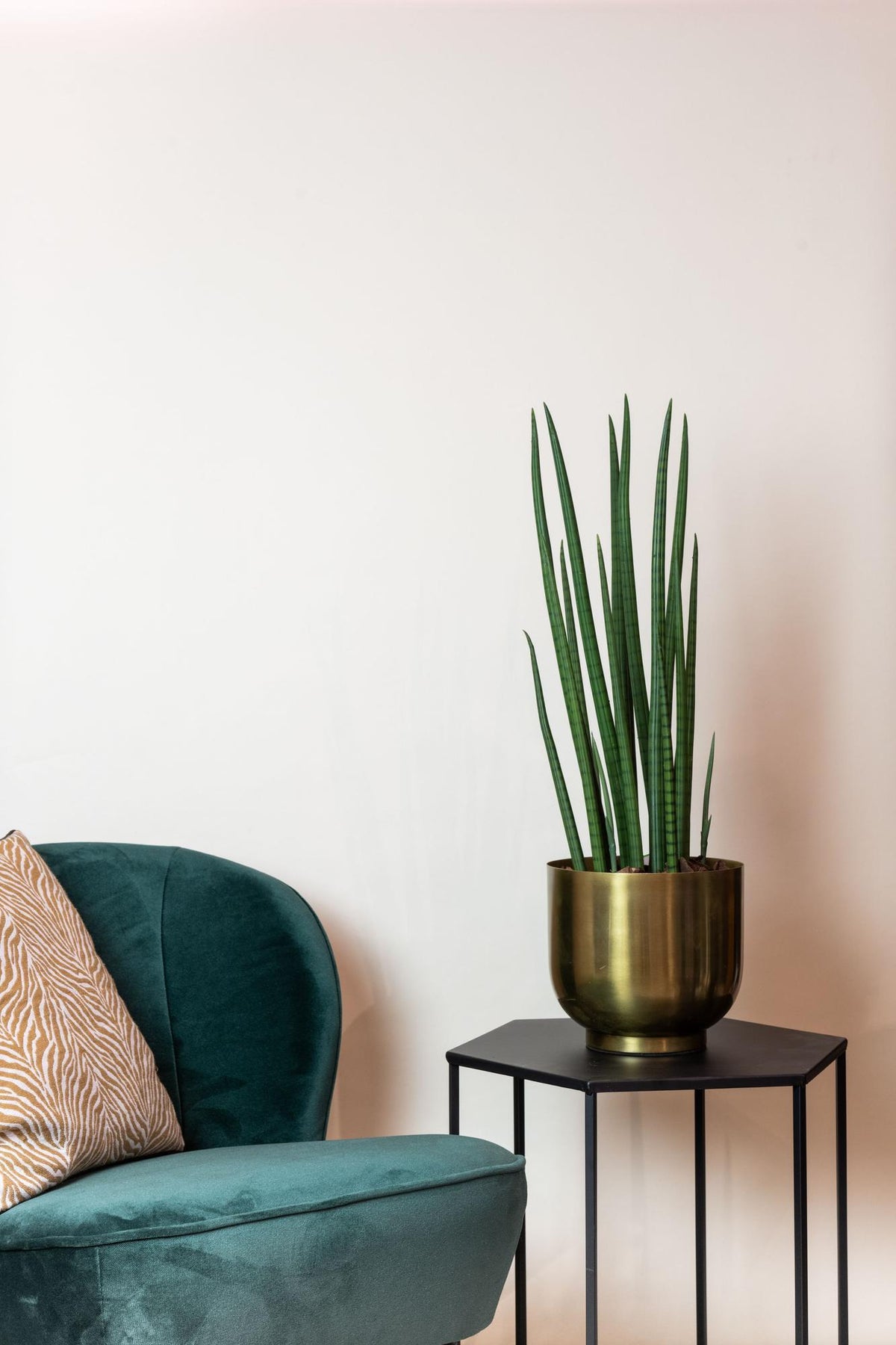 Everspring Kunstpflanze Sansevieria Cylindrica, 70 cm, grüne Frauenzunge, detailreiche Nachbildung einer echten Pflanze