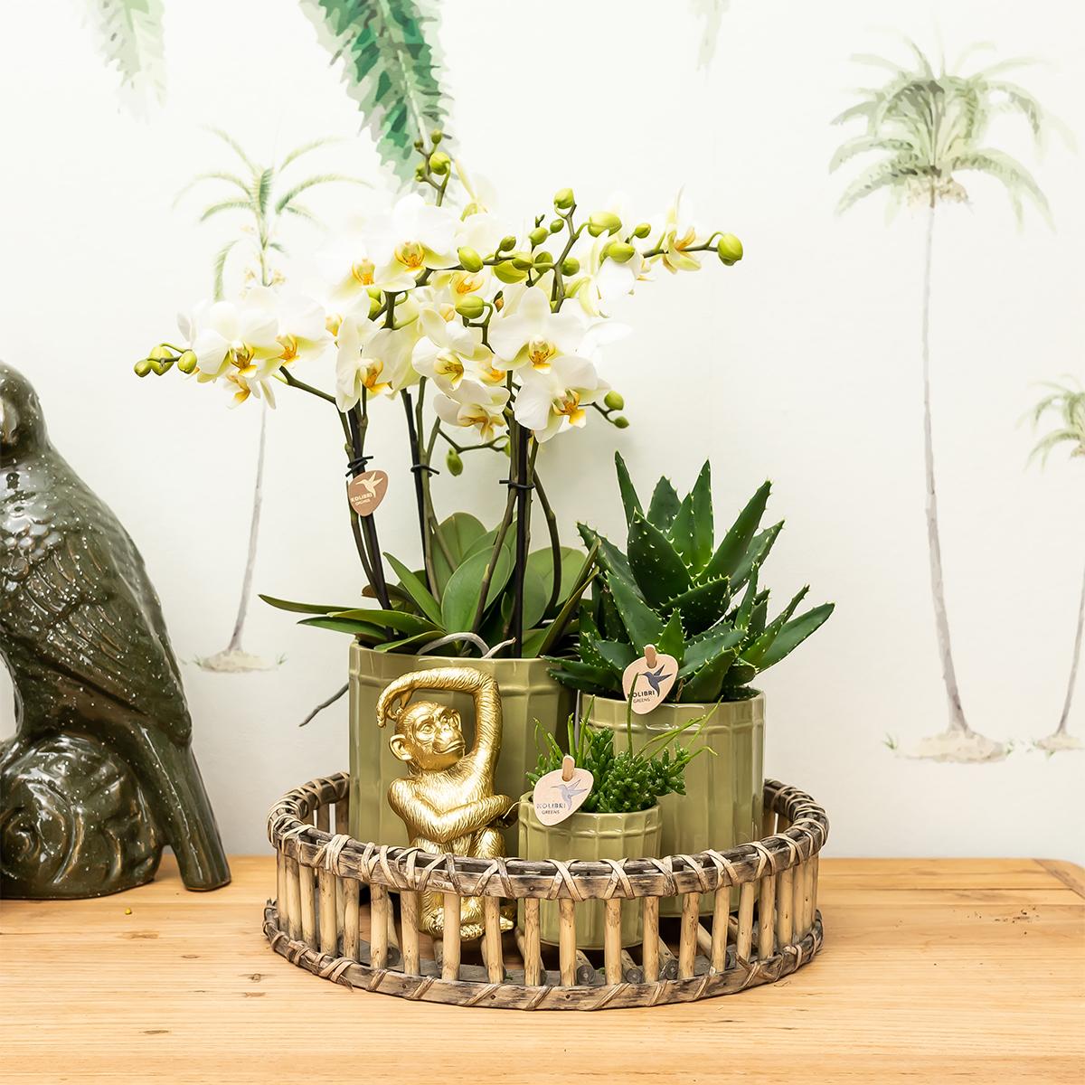 Deko - Skulptur Sitzender Affe - Gold - Wurzelwerk Design