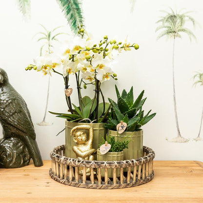 Deko - Skulptur Sitzender Affe - Gold - Wurzelwerk Design