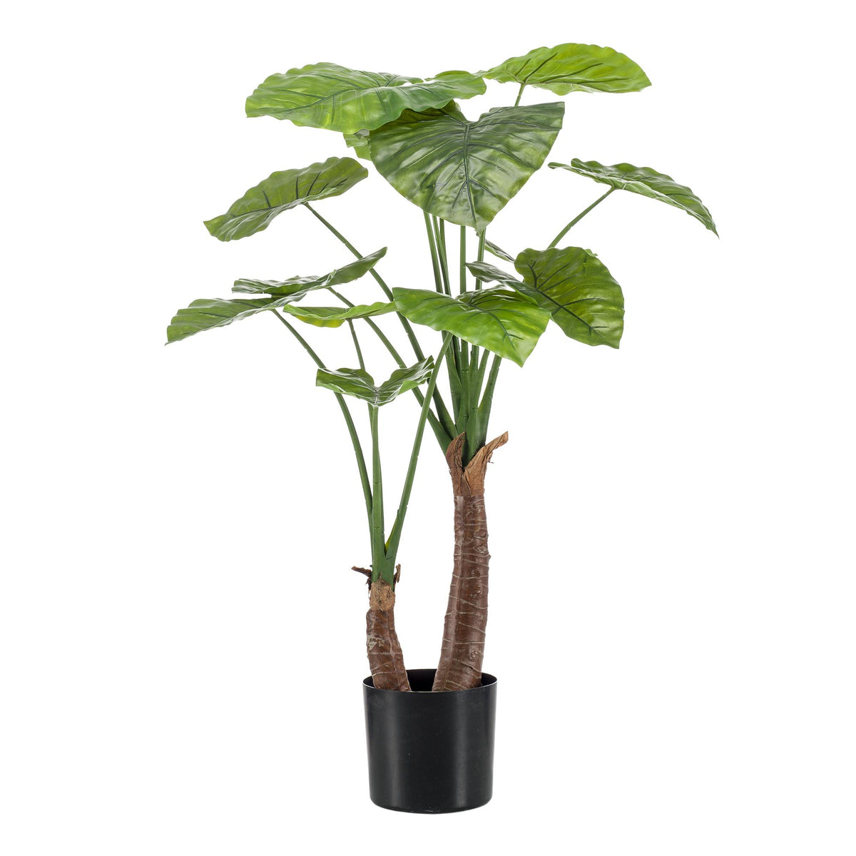 Kunstpflanze Alocasia (Elefantenohr) von Everspring, realistische grüne Pflanze, 70 bis 180 cm hoch, detailreiche Blätter.