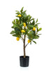 Kunstpflanze Zitronenbaum Citrus Limonia von Everspring, 72 cm hoch, detailreiche, realistische Zitronenbaum-Attrappe