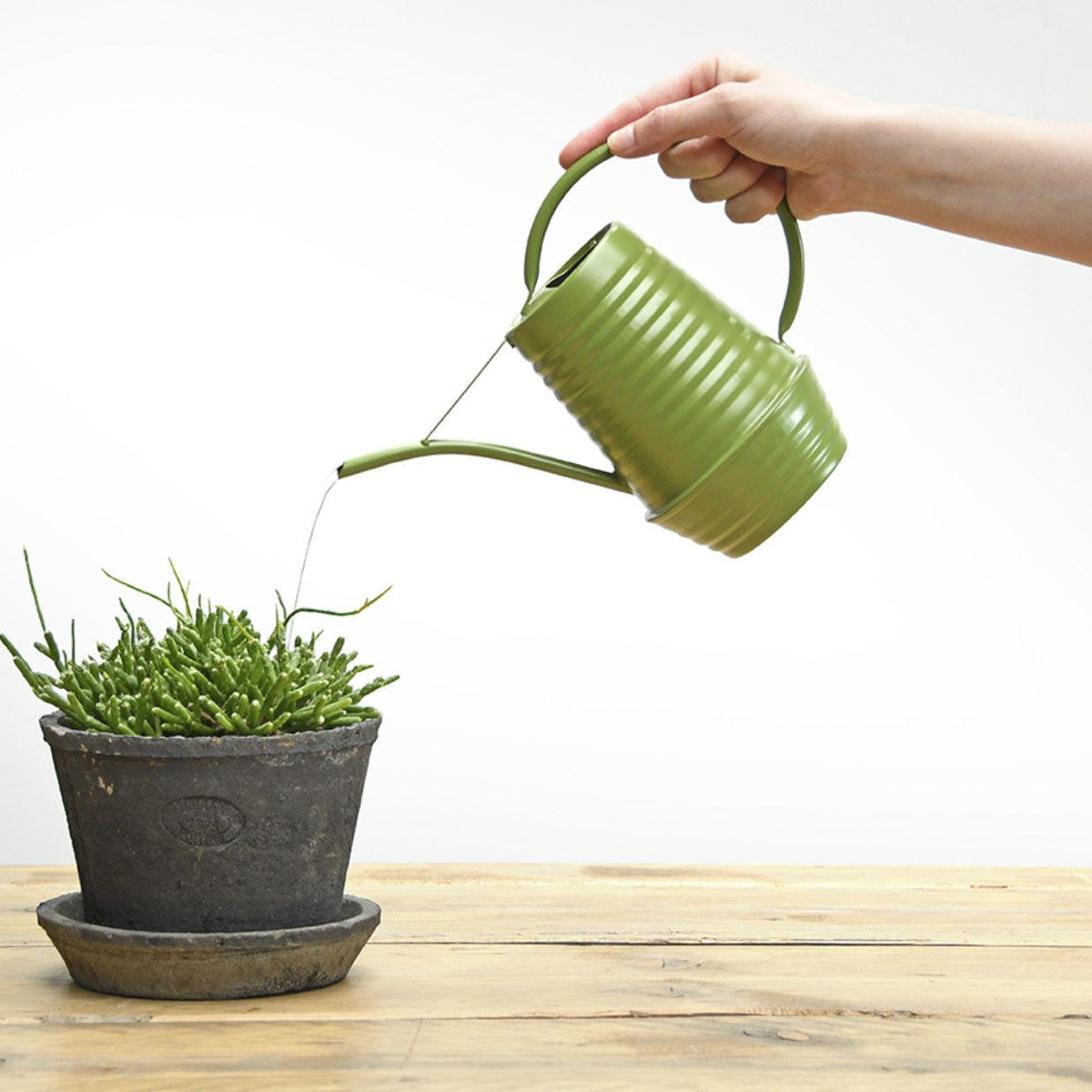 Blumengießkanne Zink 1 Liter Grün | Handliche Gießkanne für Zimmerpflanzen &amp; Balkon - Wurzelwerk Design
