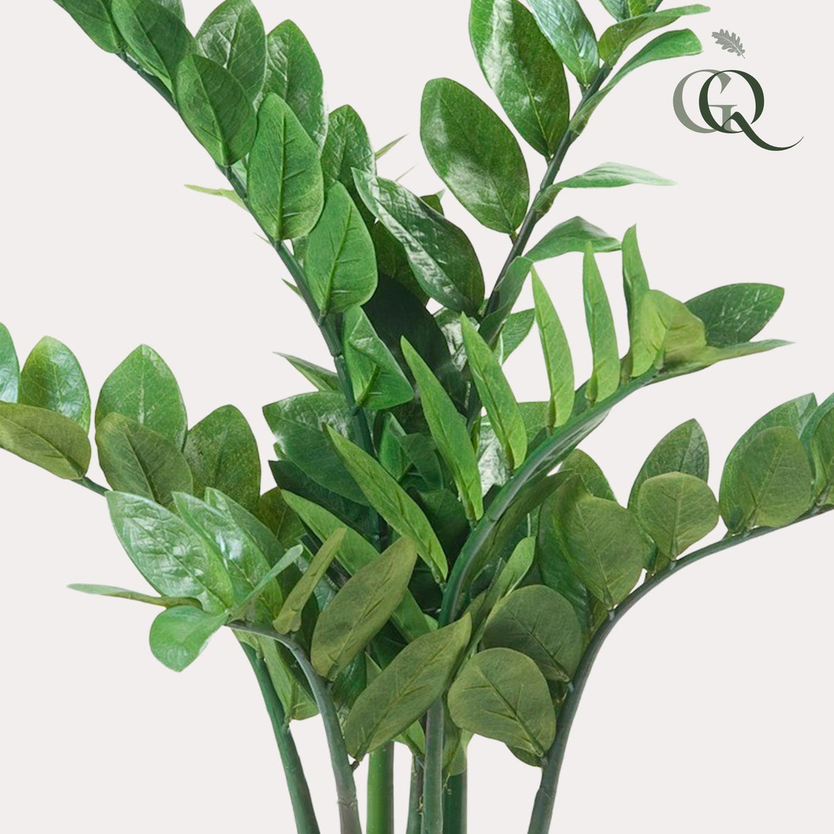 Kunstpflanze Zamioculcas, Zimmerpalme, Everspring, 70 cm hohe pflegeleichte Zimmerpflanze, grüne Blätter, realistische Optik