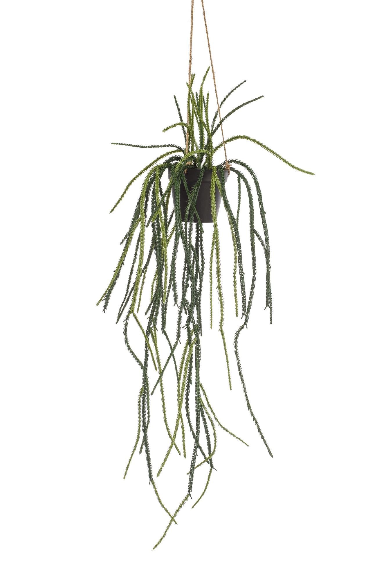 Everspring Kunstpflanze Rhipsalis, Korallenkaktus, 85 cm hoch, realistische grüne Pflanzen für Dekoration, Nahaufnahme
