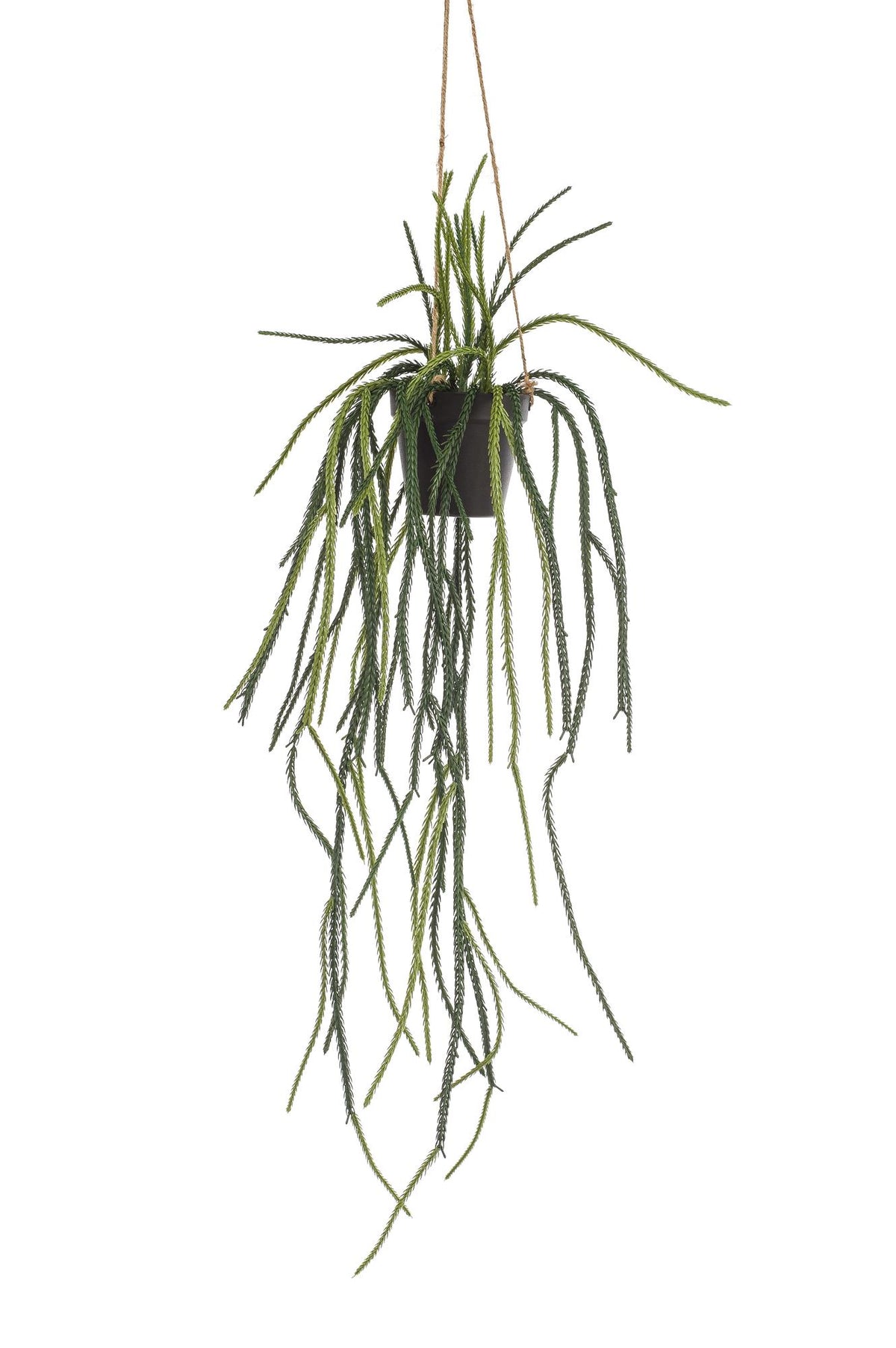 Everspring Kunstpflanze Rhipsalis, Korallenkaktus, 85 cm hoch, realistische grüne Pflanzen für Dekoration, Nahaufnahme