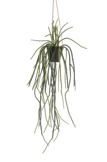 Everspring Kunstpflanze Rhipsalis, Korallenkaktus, 85 cm hoch, realistische grüne Pflanzen für Dekoration, Nahaufnahme