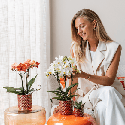 Diamond Pearl Dekotopf - Rot - Ø 6 cm - Wurzelwerk Design