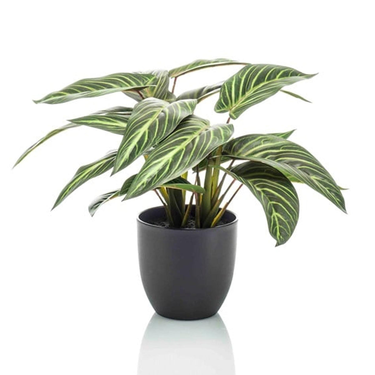 Künstliche Calathea Zebrina Pflanze, 42 cm, im schwarzen Topf, Everspring, realistische Blattmuster, dekorative Zimmerpflanze