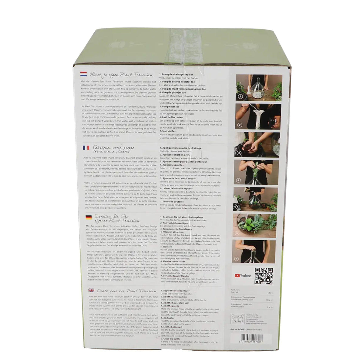 DIY-Pflanzenterrarium-Set von Everspring, 5 l, zeigt geschlossene Ökosystem-Geschenkbox mit Terrarium-Glas und Pflanzen.