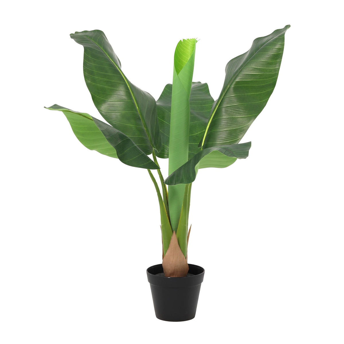 Künstliche Bananenpflanze Musa von Everspring, langlebige Zimmerpflanze in 80cm, 150cm oder 180cm Höhe, realistisch wirkend