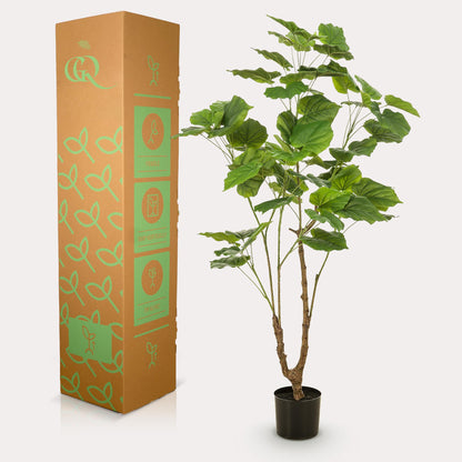 Künstliche Ficus umbellata Pflanze von Everspring, 125cm oder 180cm, mit grünen Blättern, ideal für Dekoration.