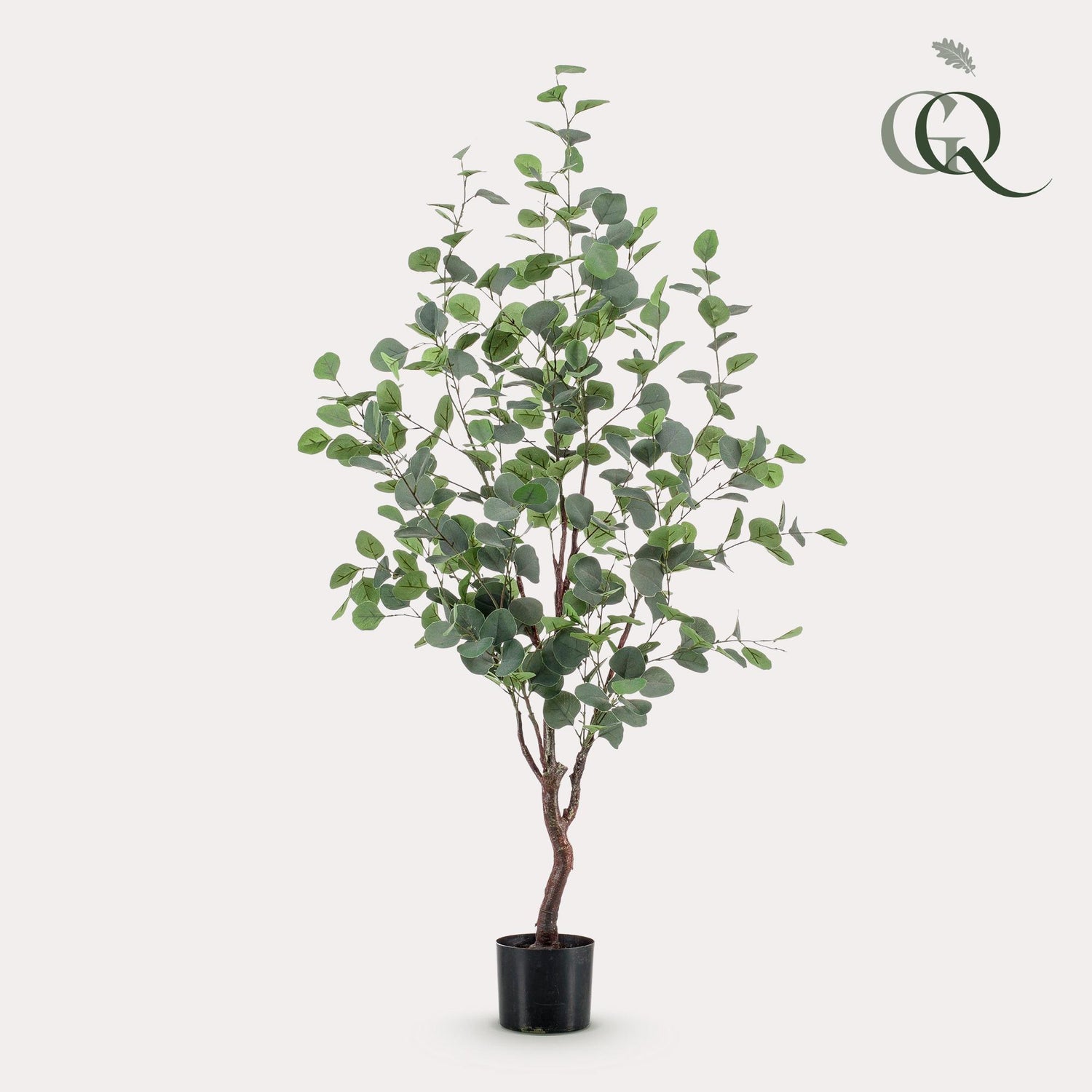Kunstpflanze Eucalyptusbaum und blauer Gummibaum von Everspring, 120cm oder 180cm groß, realistische Kunststoffpflanzen.