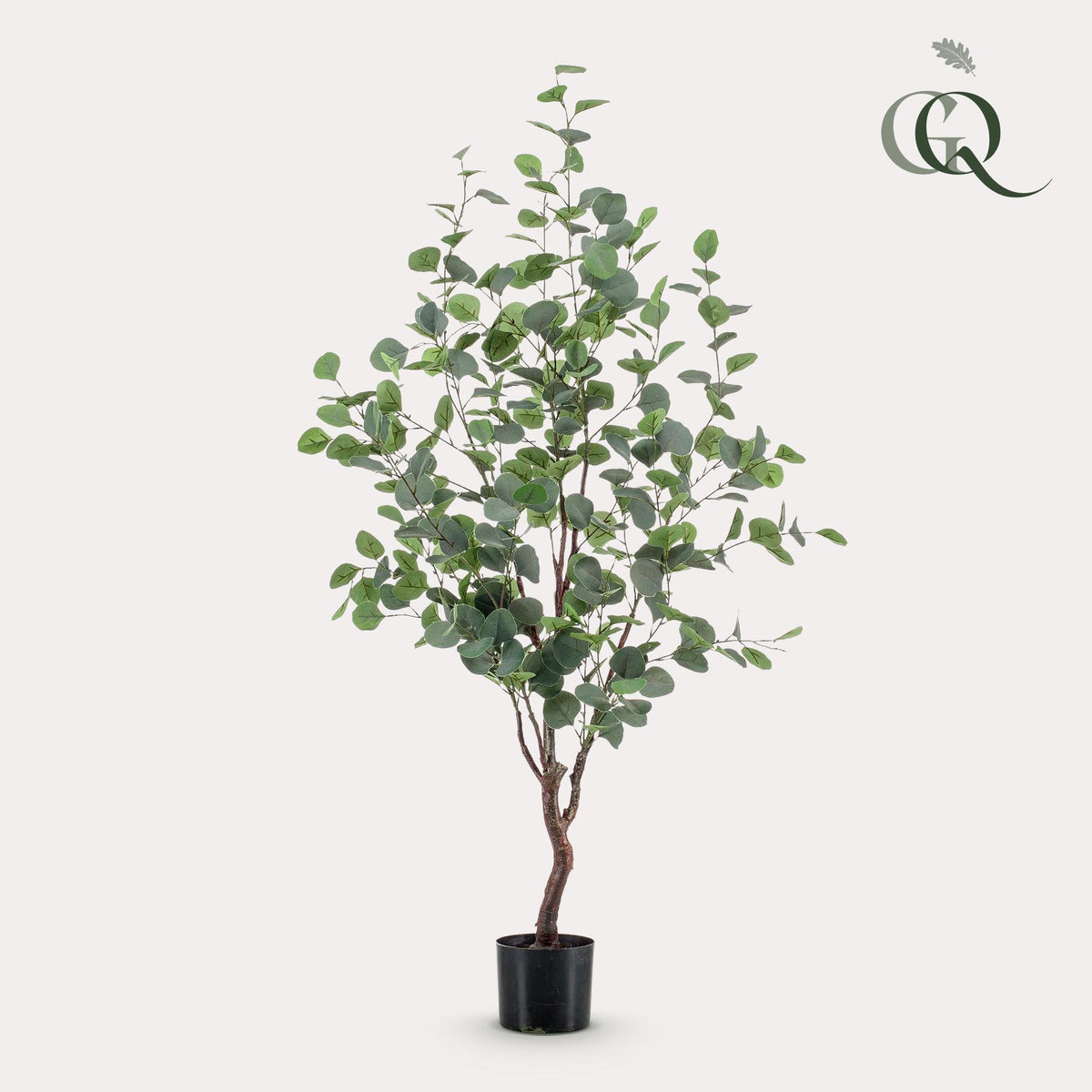 Kunstpflanze Eucalyptusbaum und blauer Gummibaum von Everspring, 120cm oder 180cm groß, realistische Kunststoffpflanzen.