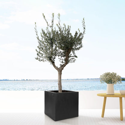 Block Black - L - D50 x H50 - Wurzelwerk Design